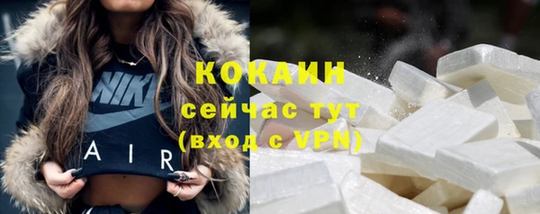 индика Корсаков
