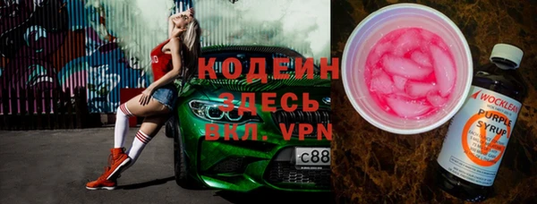 индика Корсаков