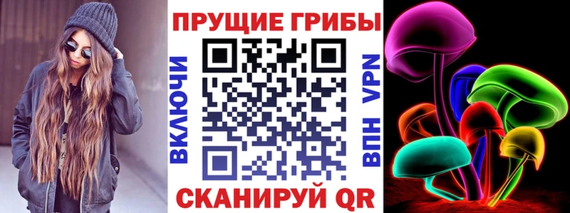 Псилоцибиновые грибы Psilocybe  Купить закладки  Зеленокумск 