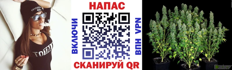 Купить где  Зеленокумск  Канабис LSD WEED 